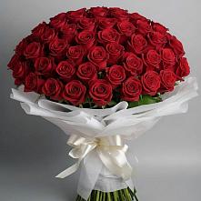 Букет 101 Красная роза Блэк Мэджик в Бородино ГО Мытищи