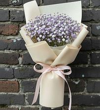 Букет цветов из:  Гипсофила в Бородино ГО Мытищи