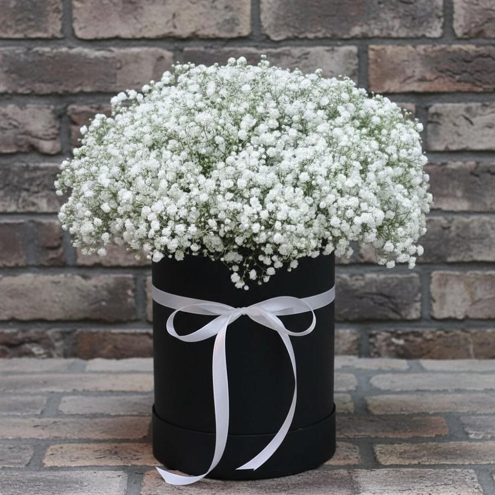 Цветочная композиция из Гипсофила в шляпной коробке в Бородино ГО Мытищи