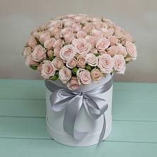 Цветочная композиция из Розы в шляпной коробке в Бородино ГО Мытищи