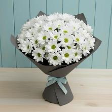 Букет цветов из:  Хризантемы #REPLACE_PRED# Бородино ГО Мытищи