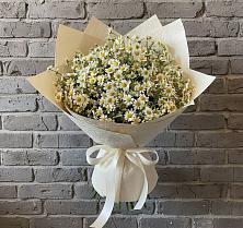 Букет цветов из:  Ромашки в Бородино ГО Мытищи