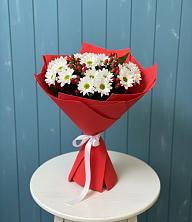 Букет цветов из:  Хризантемы в Бородино ГО Мытищи