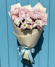 Букет цветов из:  Хризантемы в Бородино ГО Мытищи