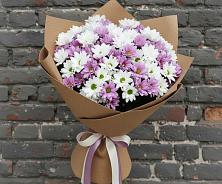 Букет цветов из:  Хризантемы в Бородино ГО Мытищи