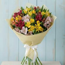 Букет цветов из:  Альстромерии в Бородино ГО Мытищи