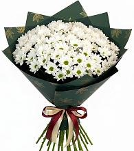 Букет цветов из:  Хризантемы в Бородино ГО Мытищи