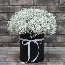 Цветочная композиция из Гипсофила в шляпной коробке в Бородино ГО Мытищи