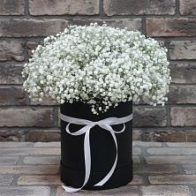 Цветочная композиция из Гипсофила в шляпной коробке в Бородино ГО Мытищи