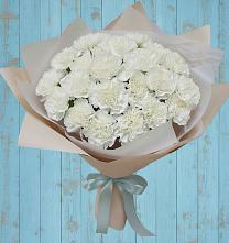 Букет цветов из:  Гвоздики в Бородино ГО Мытищи