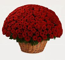 Премиум букет из: Розы в Бородино ГО Мытищи