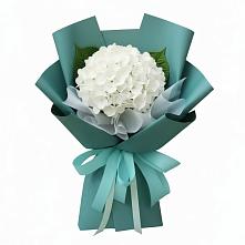 Букет цветов из:  Гортензия #REPLACE_PRED# Бородино ГО Мытищи